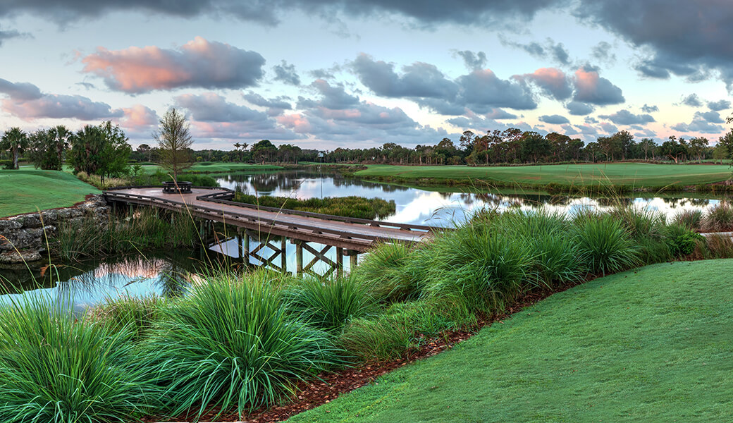 pine course
